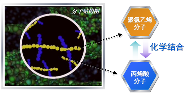 AGR分子结构图